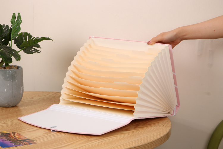 O Guia Ultimate para o Office Paper Expanding File Pastas