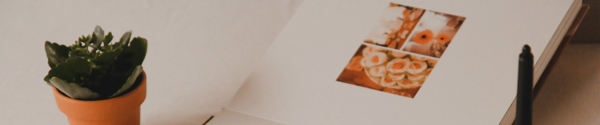 Produtos de papel