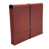 Tamanho A4 Tamanho de 21-Pocket Kraft Paper Accordeion File Pasta Logo