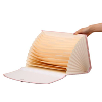 Logotipo personalizado por atacado A4 Organizador de documentos de papelão expandindo a pasta de arquivos eficaz em papel de artigos de papel da fábrica