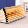A pasta de extensão do acorde de papelaria da Escola Escola é feita de material de papel notebook para uso diário de escritório