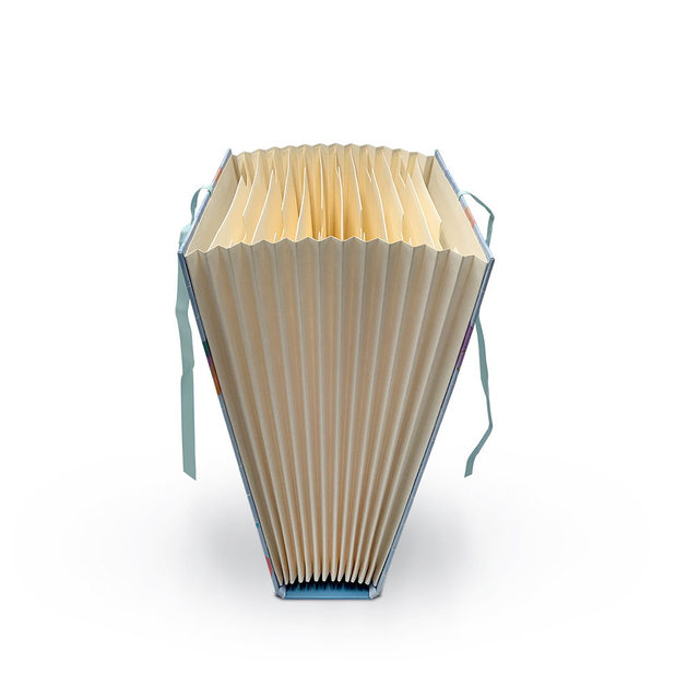Pasta de arquivo de acordeão em expansão A4 de 13 bolsos A4