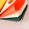 Expandindo o logotipo da pasta de pasta de arquivos personalizada Organizador de documentos coloridos de documentos A4 Tamanho de 10 bolsos para o escritório da escola Sacos de arquivos
